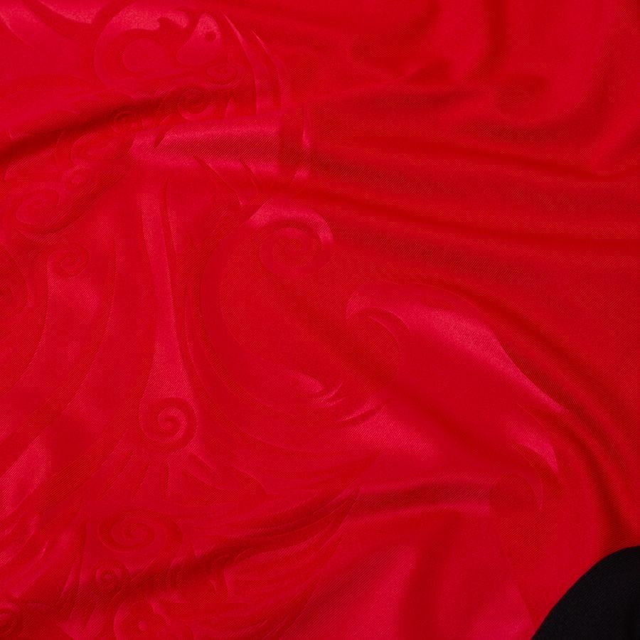 Albania home shirt 2026