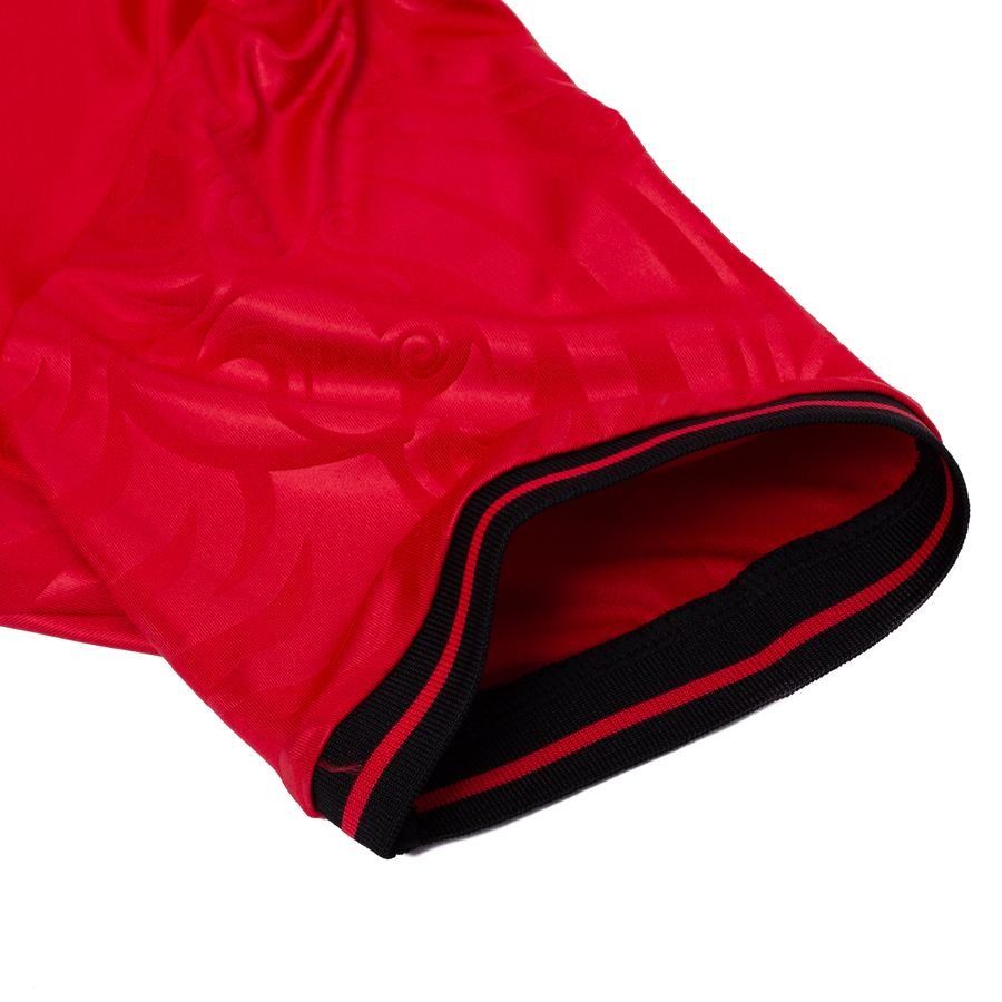 Albania home shirt 2026