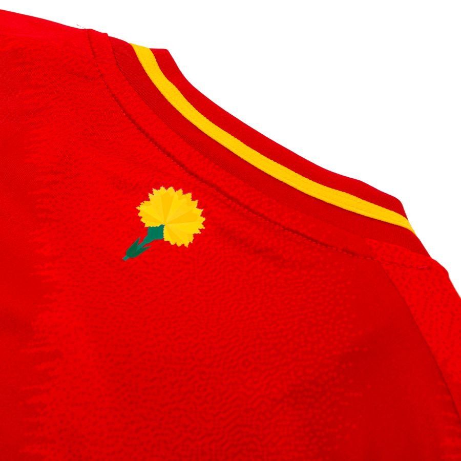 Spain home shirt 2025