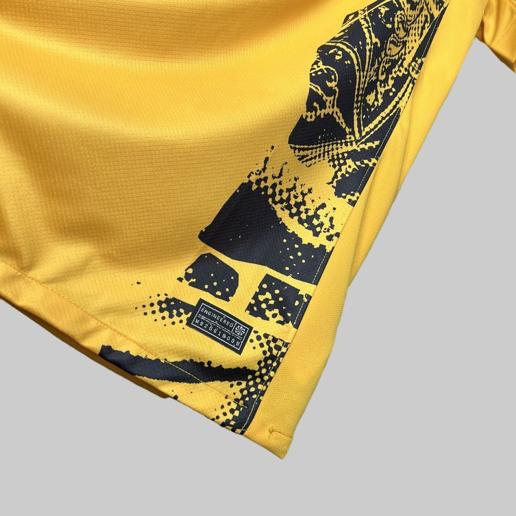 Inter third shirt 2024-25