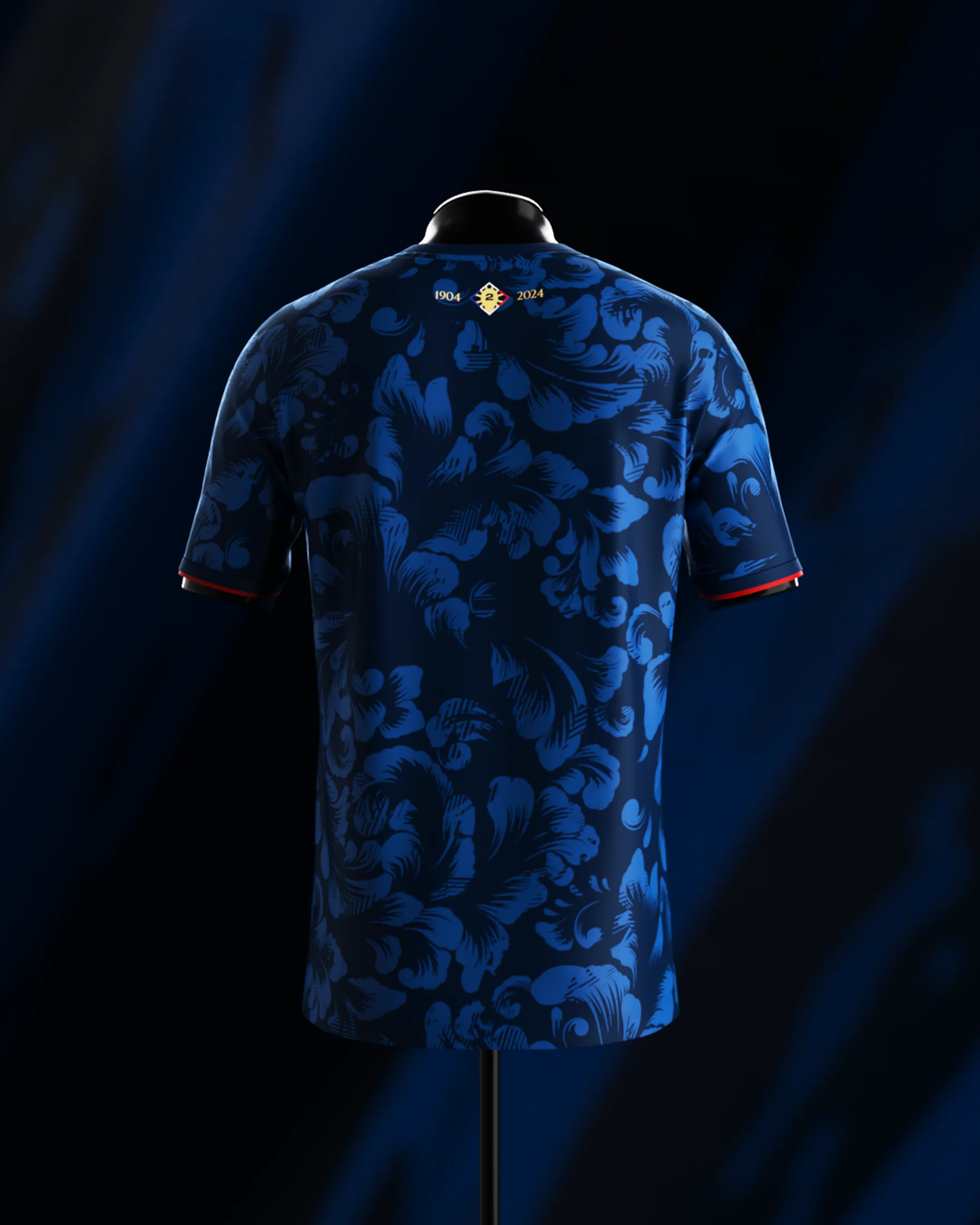 France "Les Bleus" Jersey