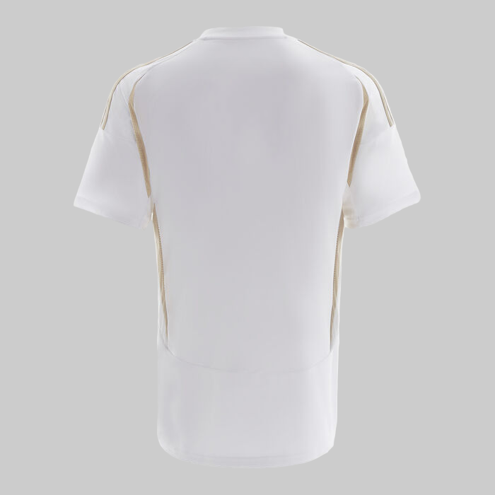 Al Nassr third shirt 2024-25